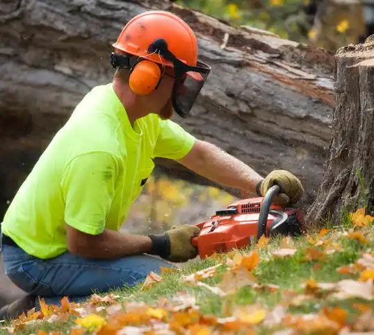 tree services Roscommon